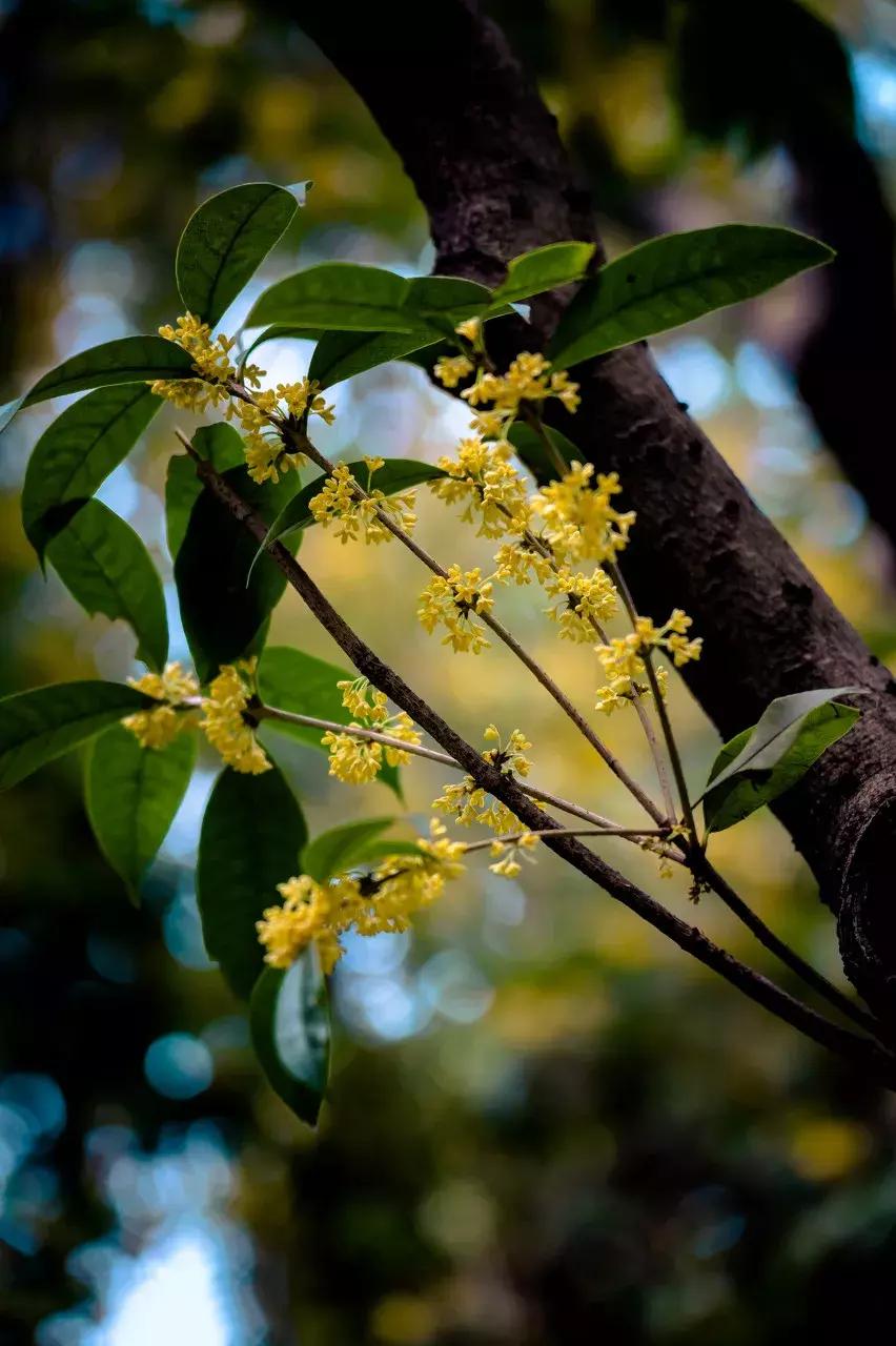徐汇是啥,徐汇在哪里
