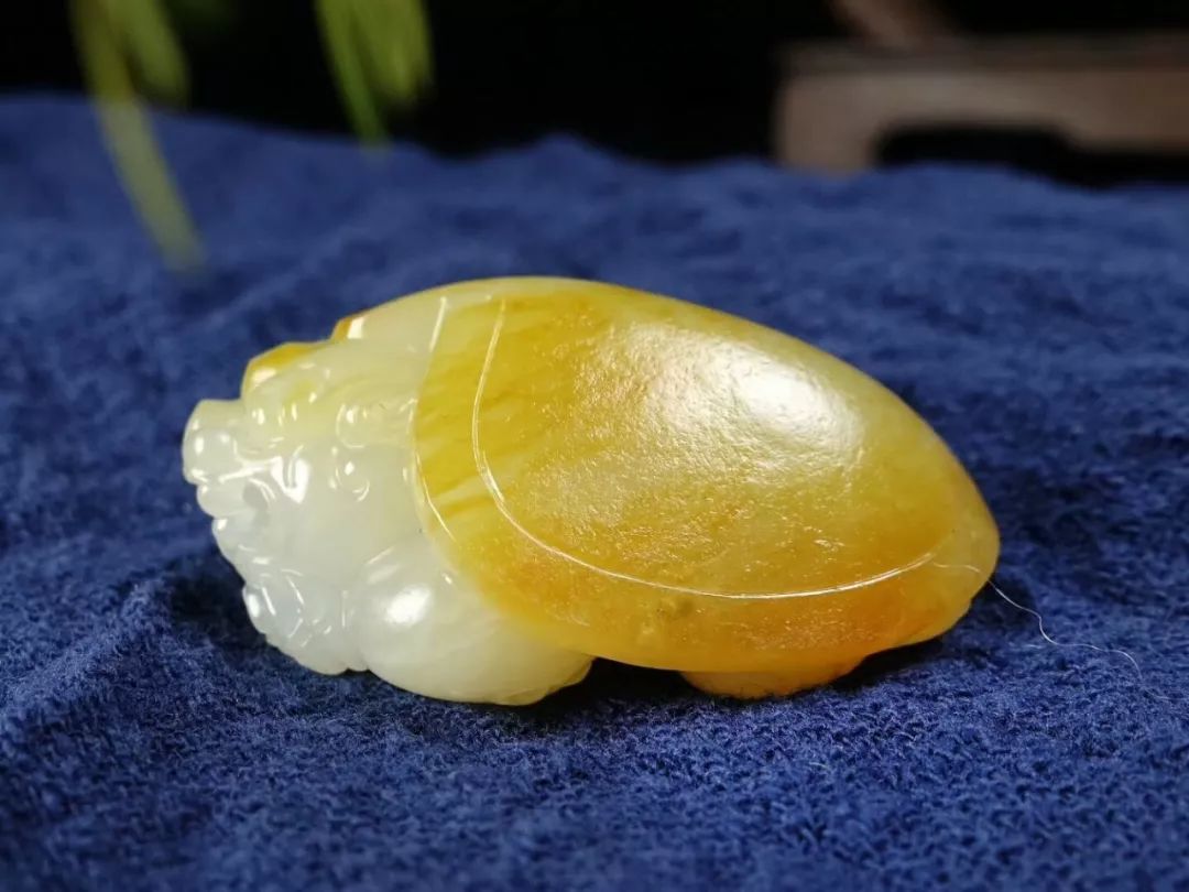 把玩和田玉和玻璃的区别,把玩和田玉生肖