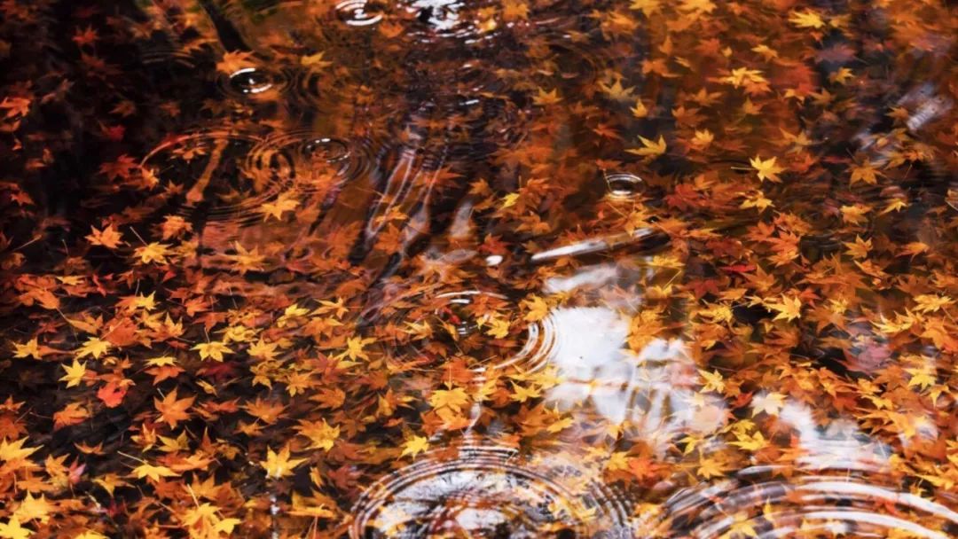 中华经典诵读作品100篇,古文经典诵读版