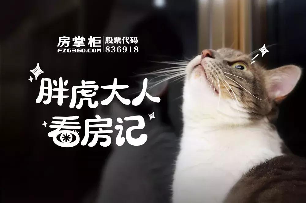 「胖虎大人看房记」第②期——宝龙世家