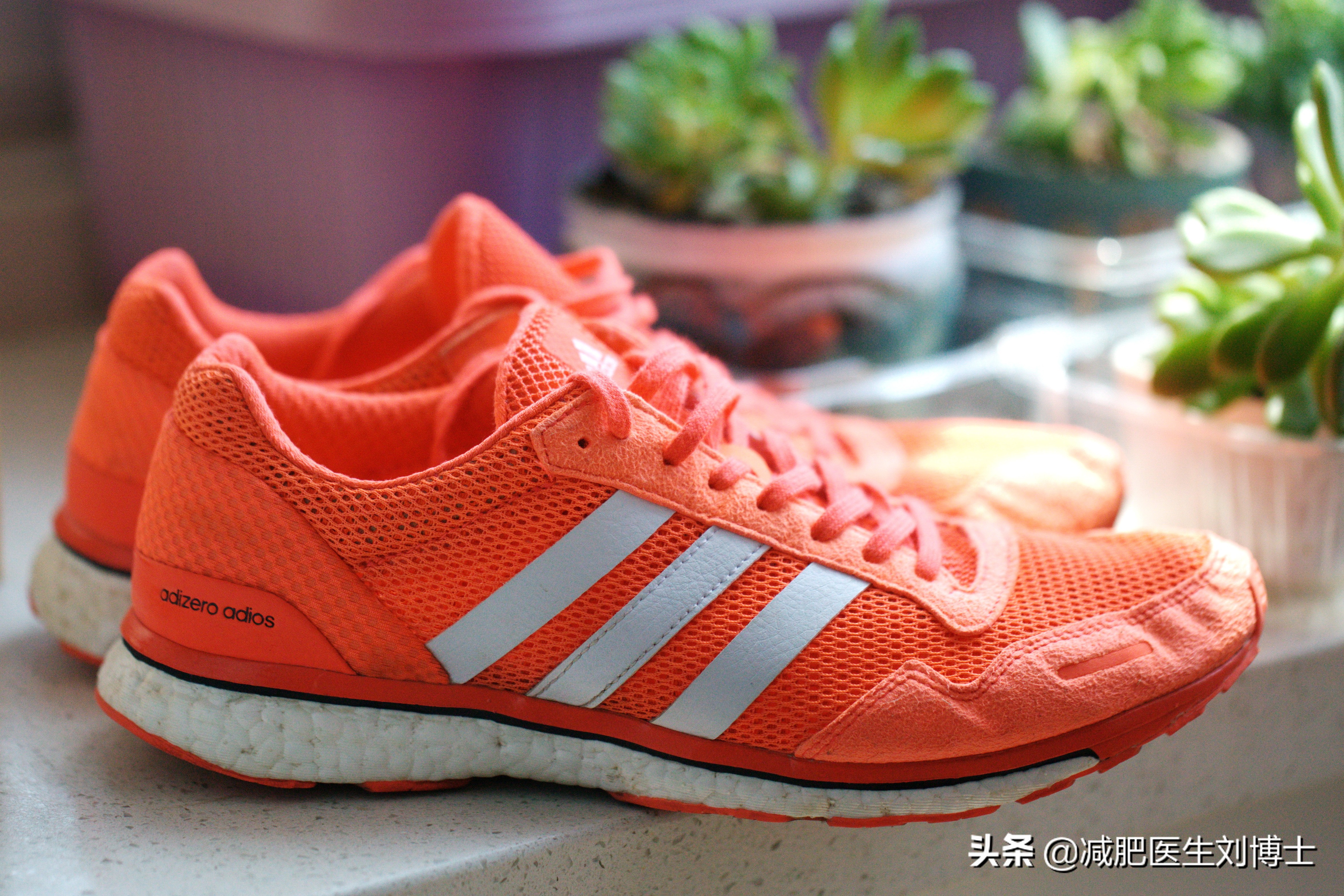 那些年我买过的鞋,新手最值得入手的几双跑鞋