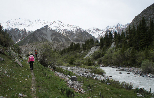 六月底的伊犁雪山,5月的伊犁草原