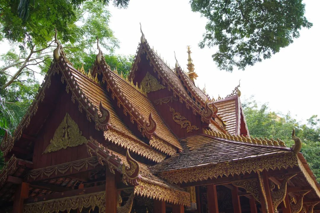 打卡中老铁路,曼听公园网红打卡景点