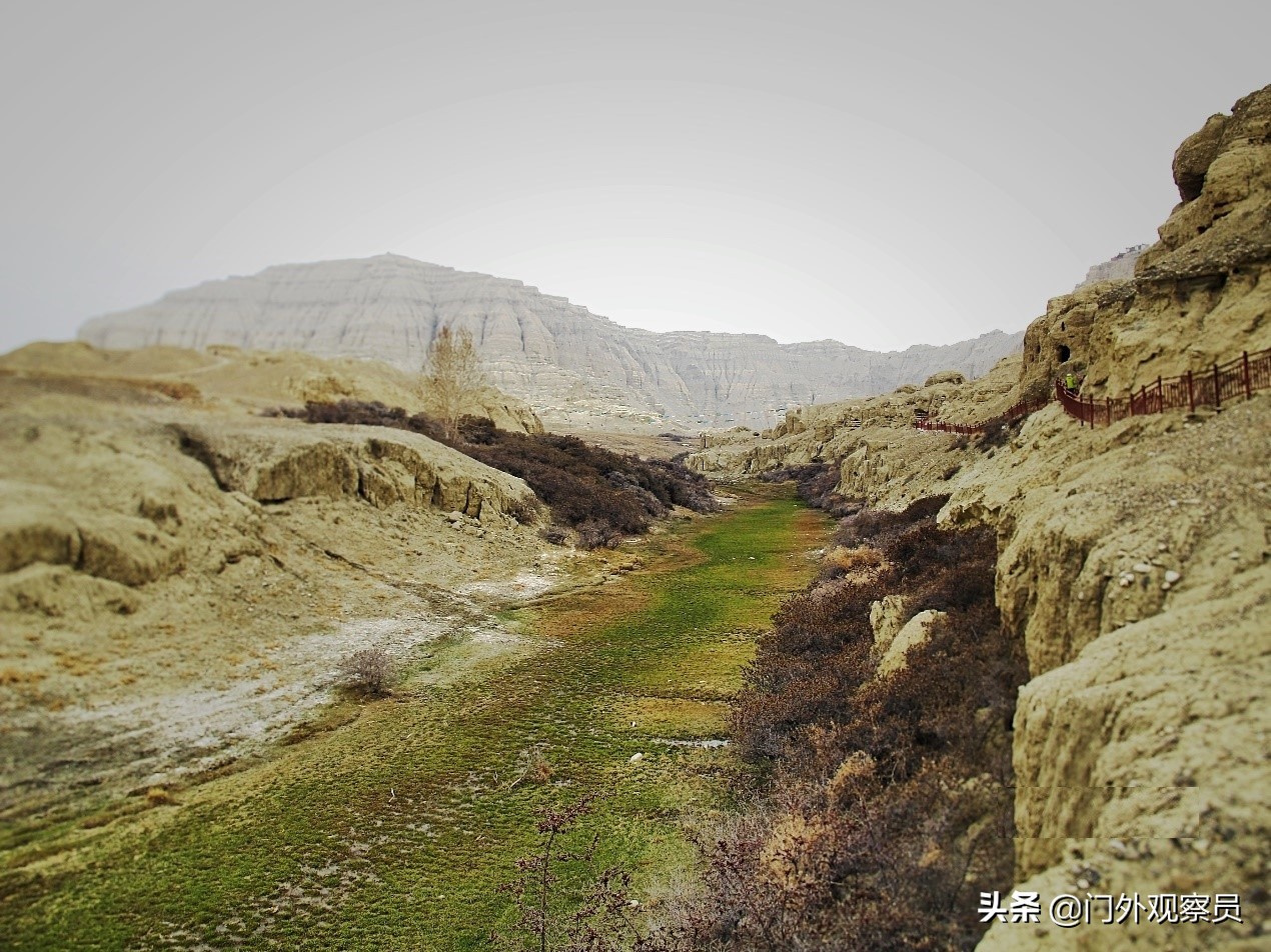 为什么到西藏一定要去阿里,不去拉萨能到那曲吗