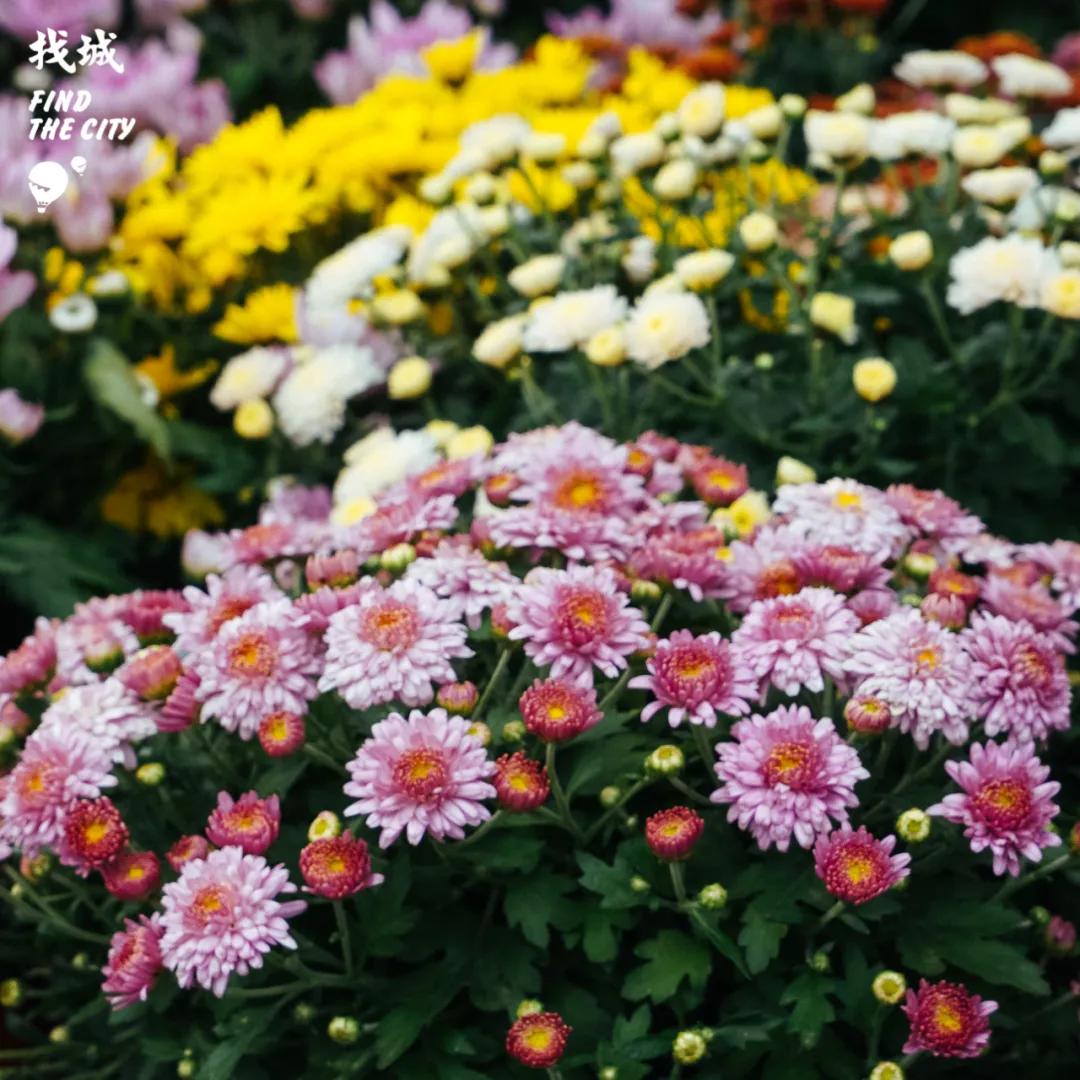 南宁拿货最便宜的市场,南宁最便宜的东西批发市场