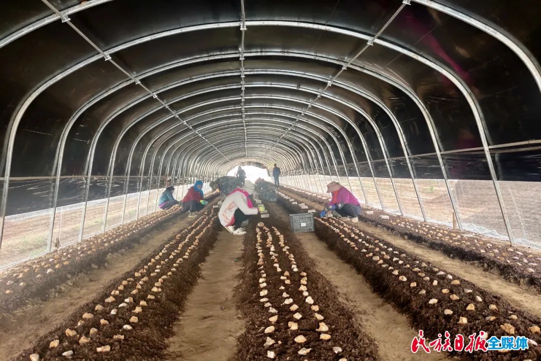 临夏州重点项目谋划情况,临夏州重点工作现场观摩推进会