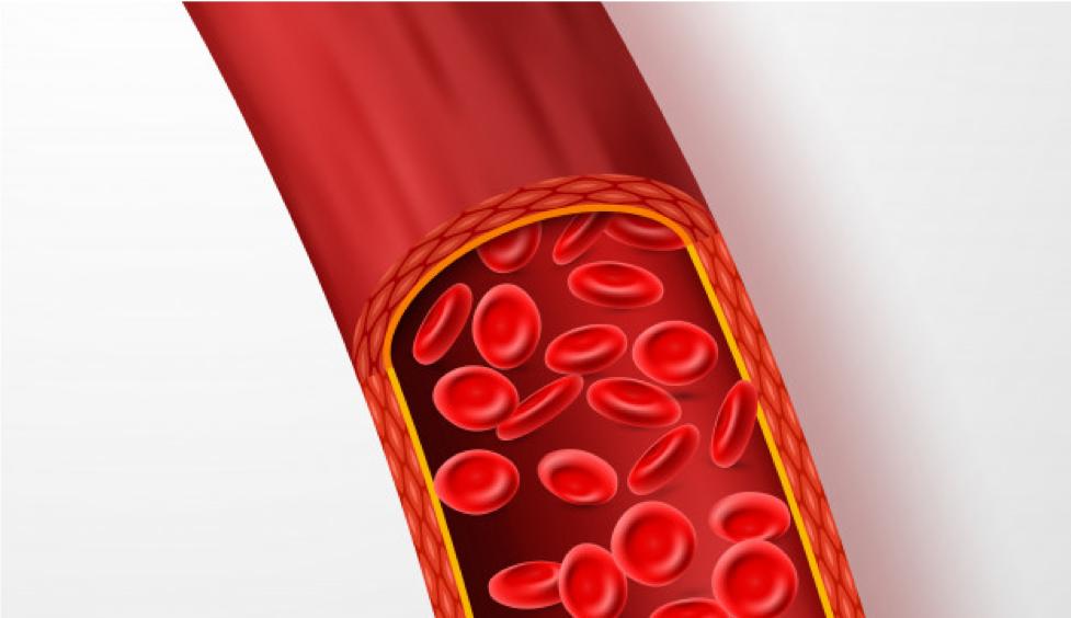 为什么输血需要配型,熊猫血配型成功