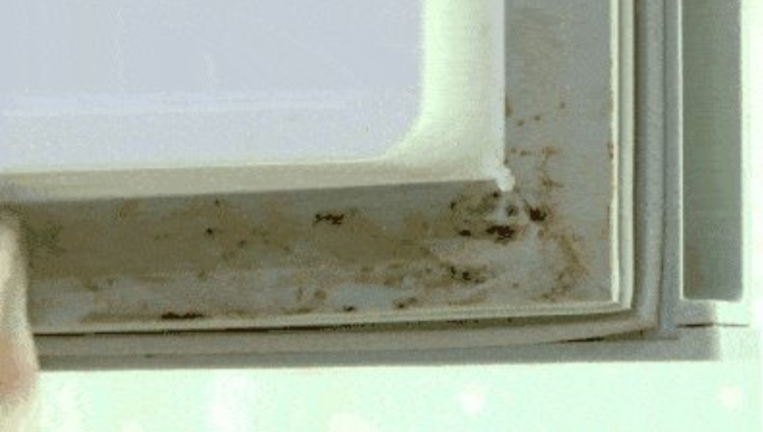 冰箱密封条发霉,冰箱密封条发霉解决方法