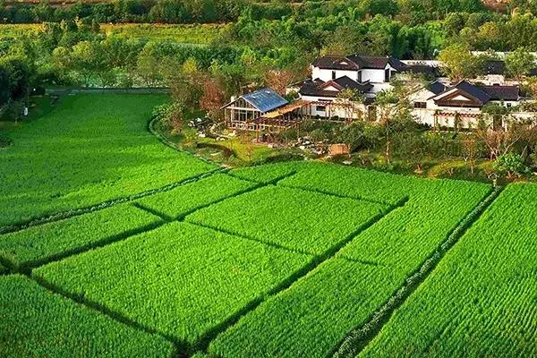 回乡创业的难点和机遇解答,2023年预计返乡创业人数达到