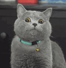 加州旅游攻略视频大全,加州旅游攻略