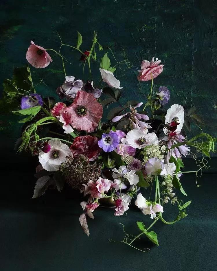 买花的套路和策略,买花的三个陷阱