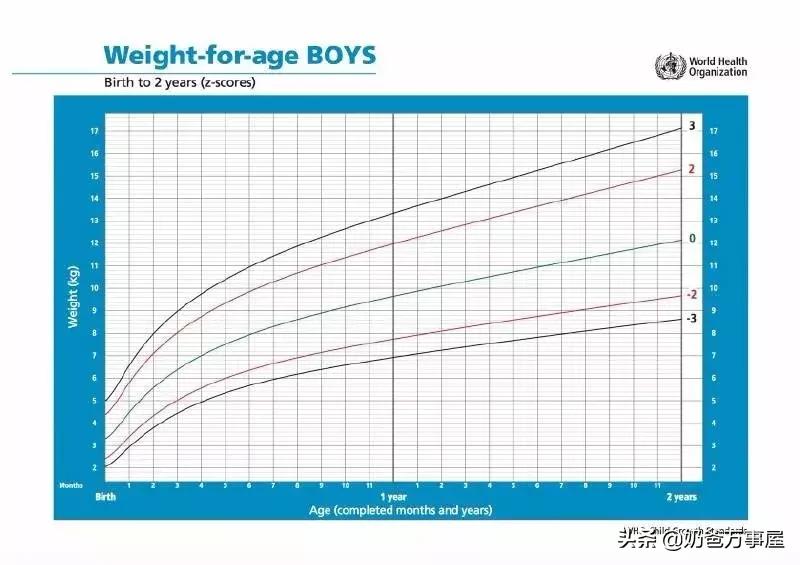 营养师防止婴儿肥胖,婴儿8个月偏瘦怎么吃
