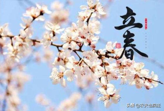 双春兼月结婚好时年什么意思,双春年什么说法