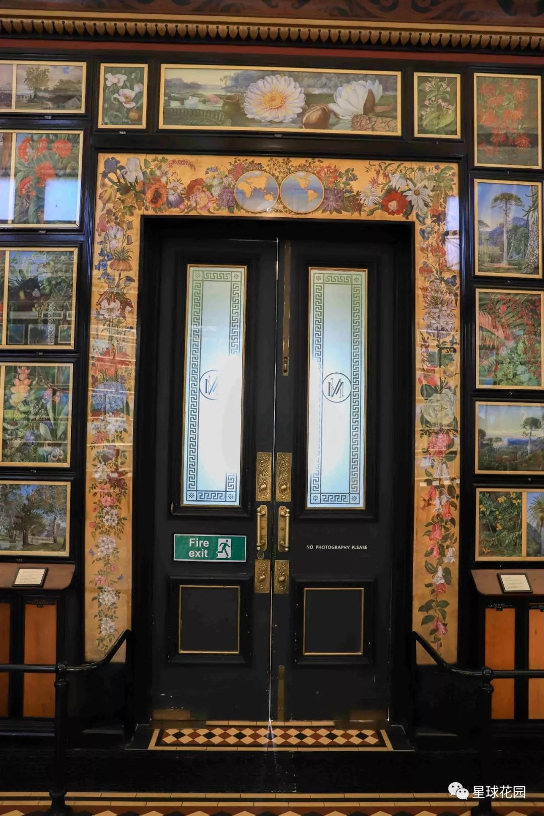 二木带你游花园|邱园（kewgarden）离我们到底有多远？