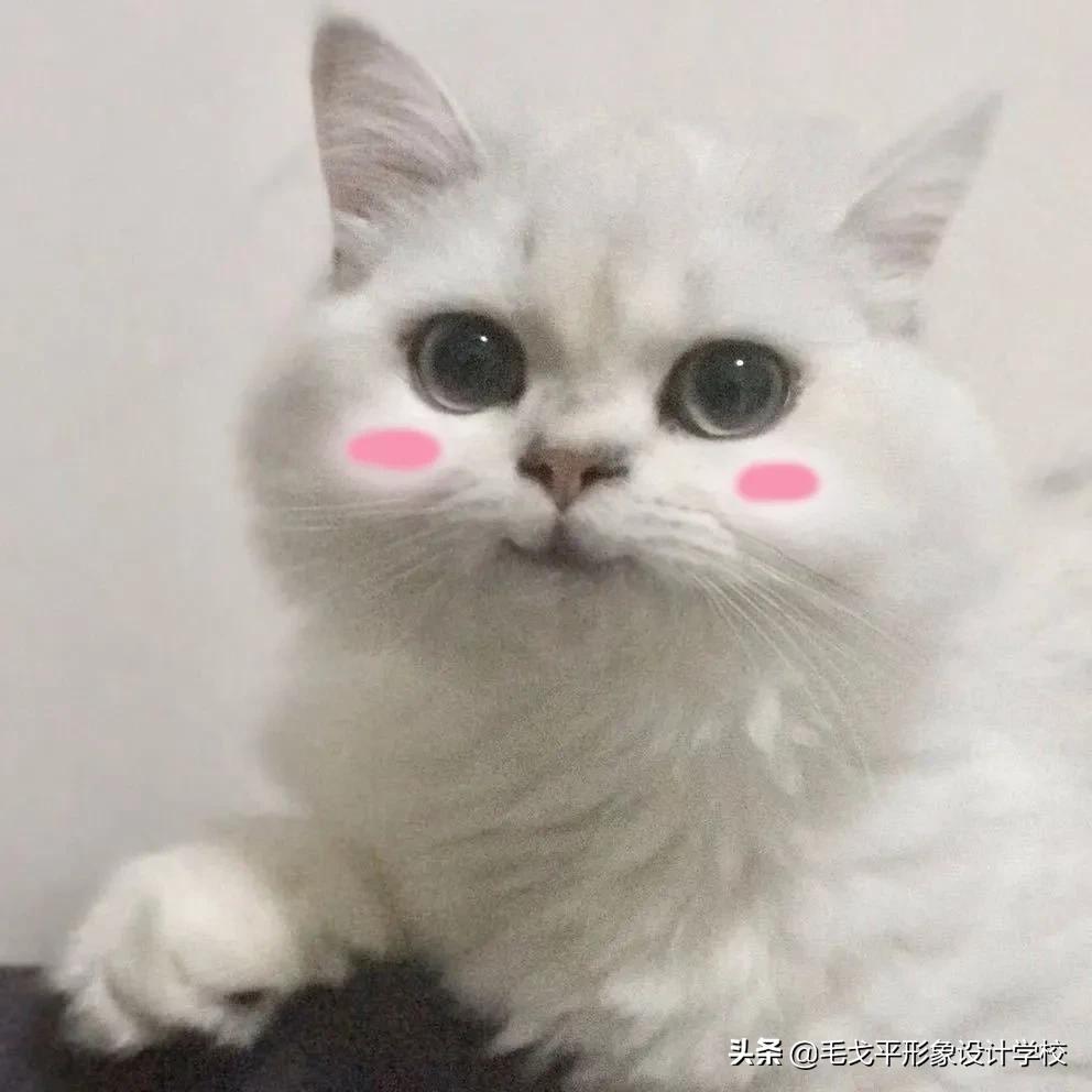 私人定制眉形|画不好眉毛的宝贝们都进来学习下