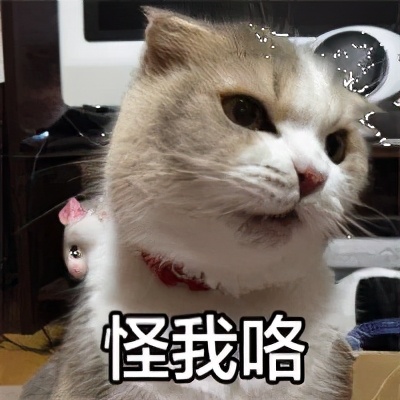 为了让我确认收货,这些卖家也是拼了