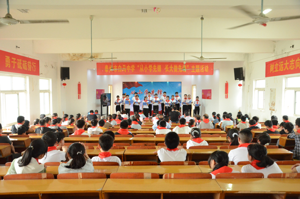 从小学先锋长大做先锋事迹,从小学先锋长大做先锋人物