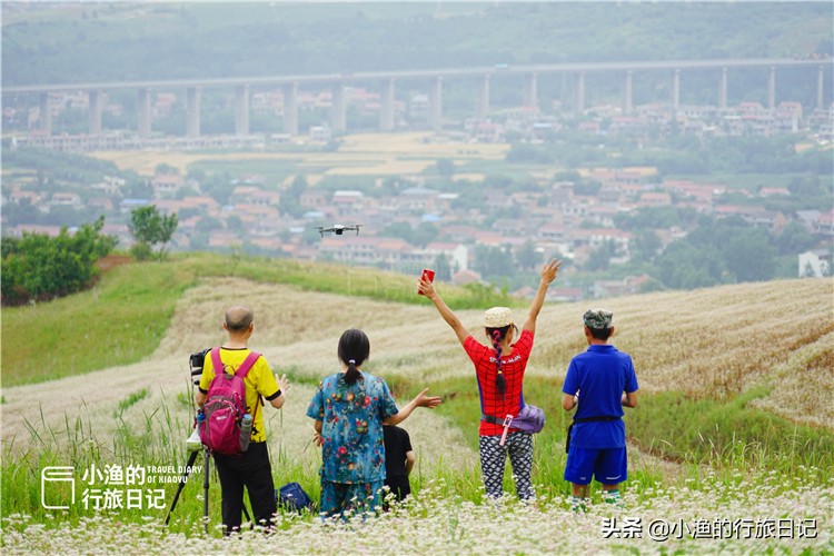 藏在秦岭深处的世外秘境,藏在西安秦岭里的桃源秘境