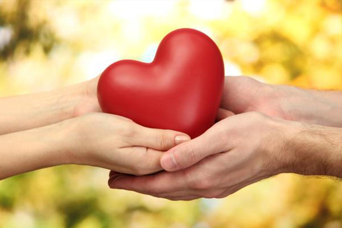 用陪伴温暖和治疗抑郁症患者