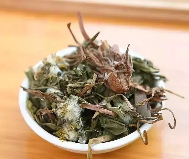 蛋鸡感冒喂什么药最好,产蛋鸡用什么药退烧