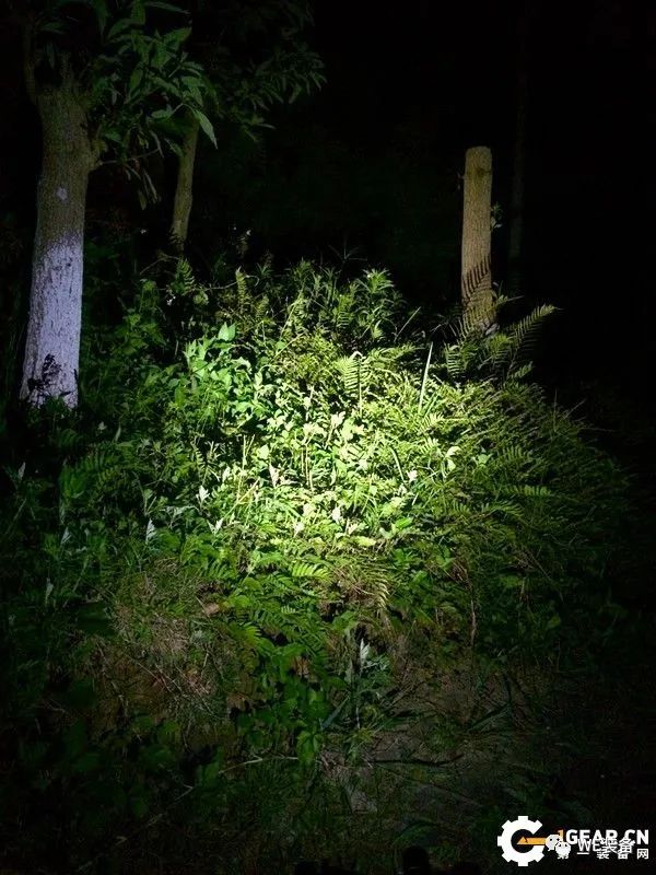 一举未必三得——务本TP10战术笔入手体验