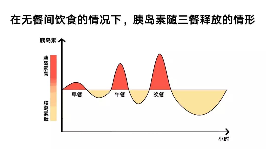 16-8小时轻断食注意事项,16小时轻断食正确的方法