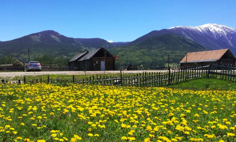 西北农村民宿,西北风格民宿