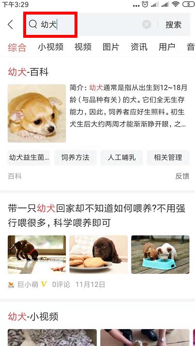 可爱呆萌的小奶狗视频,可爱可奶呆萌的小奶狗