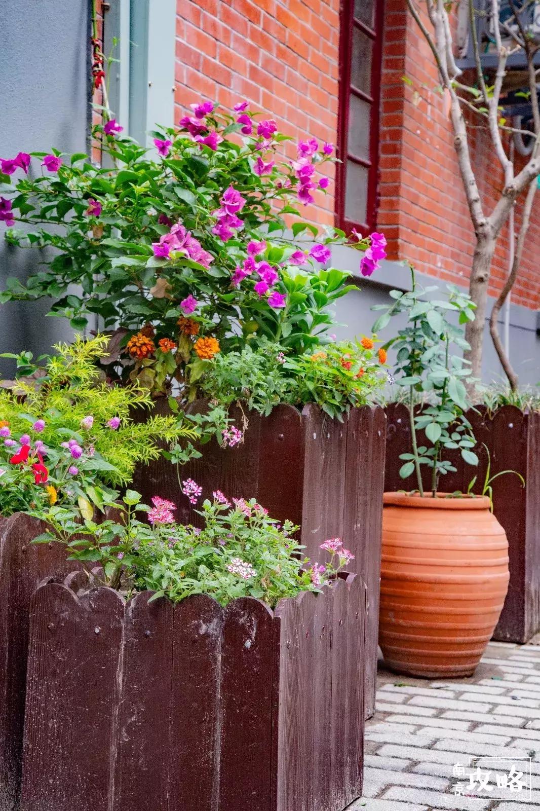 慧园里,南京城中,时光交错的角落