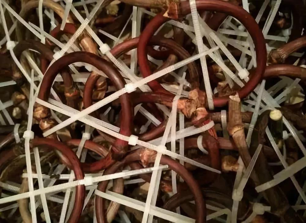 等疫情结束了我想回安徽,等疫情结束了我想回趟老家