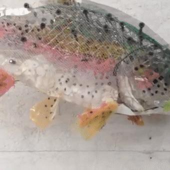 閫忚澶栨寕鐪熺殑鍋囩殑,閫忚澶栨寕鐪熷疄浜嬩欢