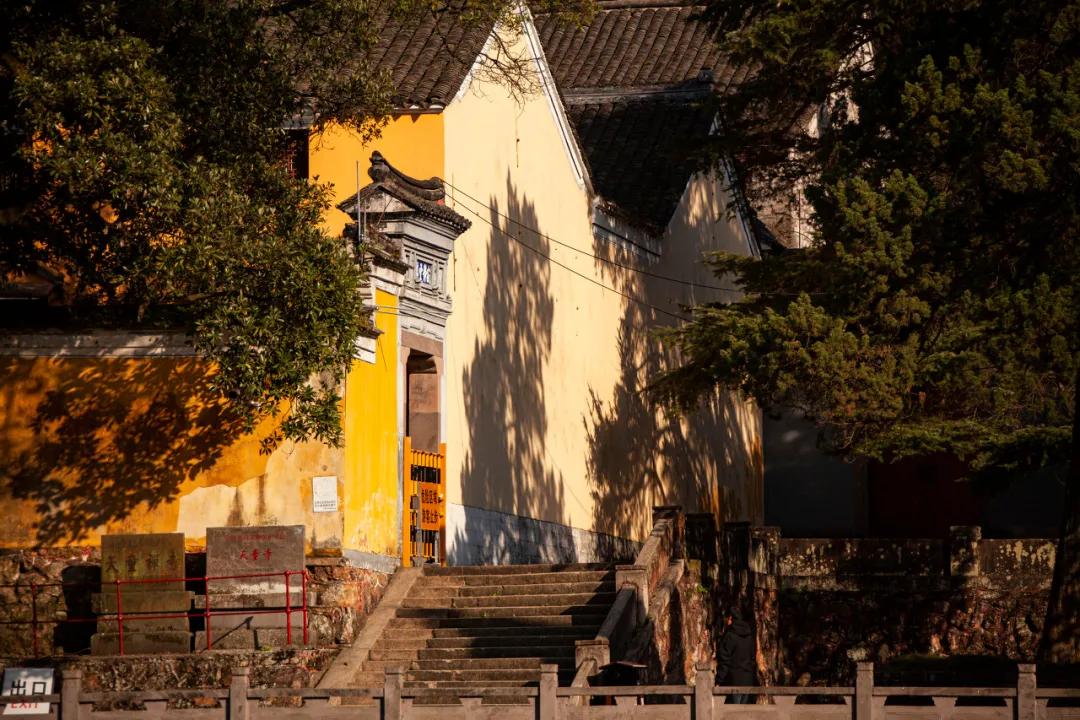 这该死的魅力原版视频,这该死的魅力原版