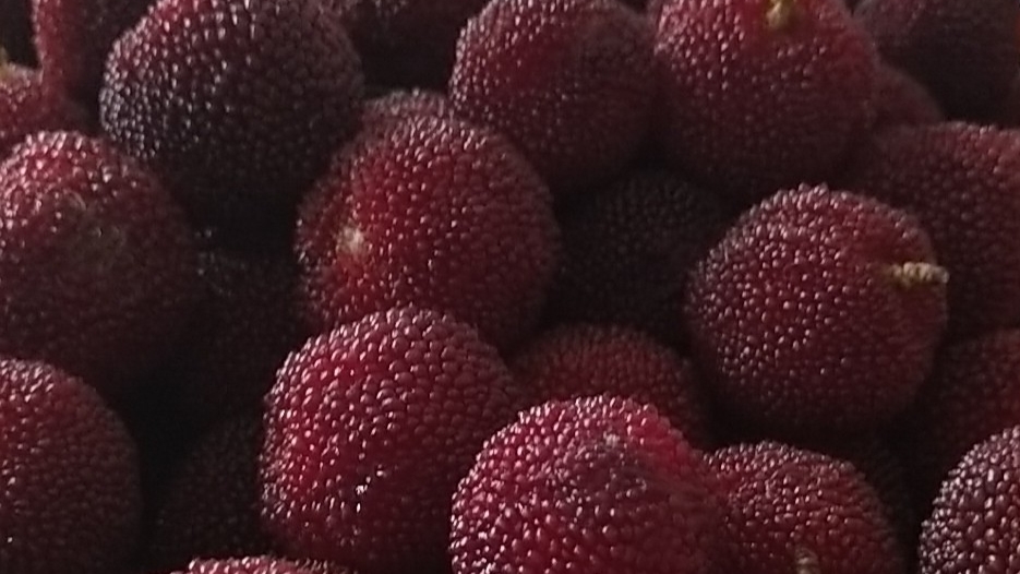 杨梅的清洗正确方法,杨梅正确清洗方法