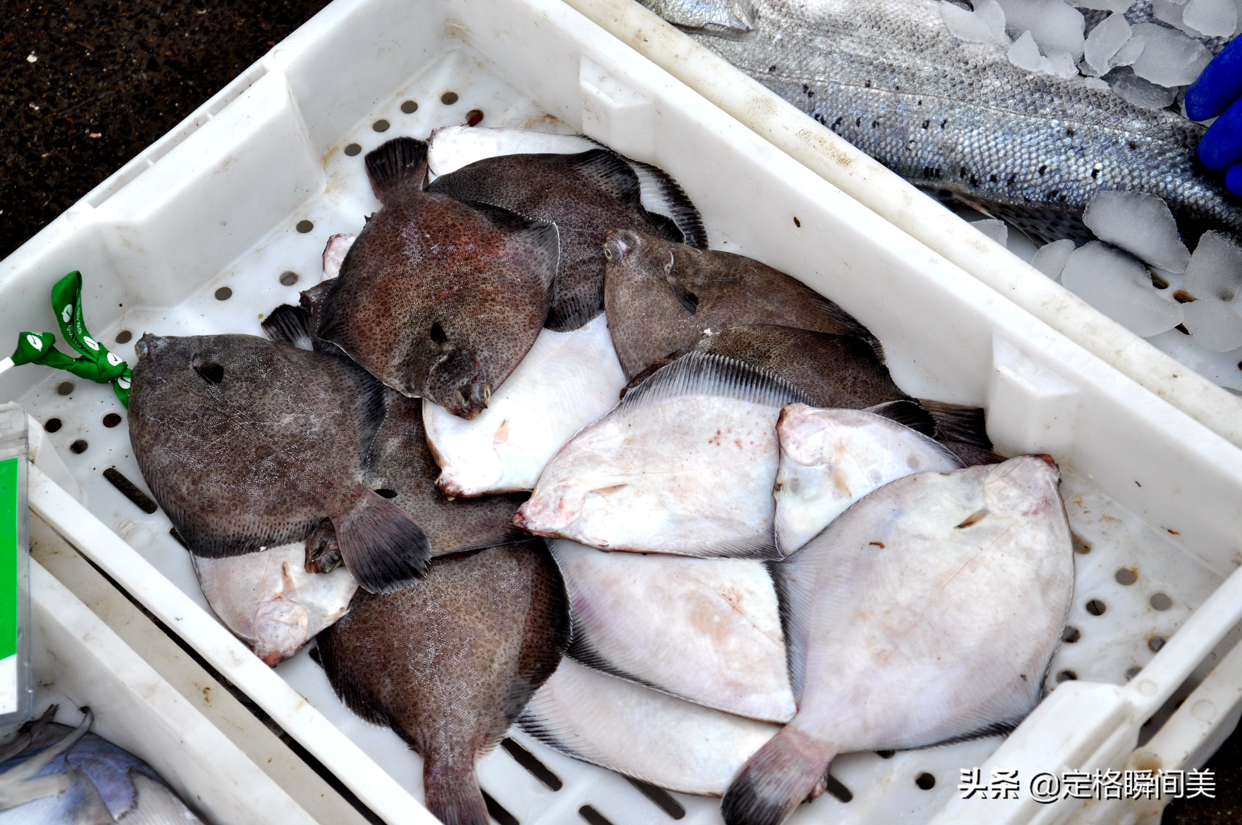 青岛哪个码头海鲜便宜又好,青岛海鲜码头海鲜