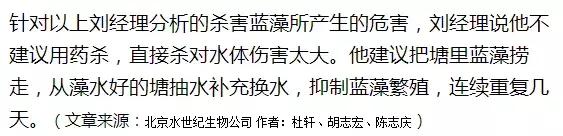 蟹塘蓝藻的原因和处理,蟹塘蓝藻处理方法