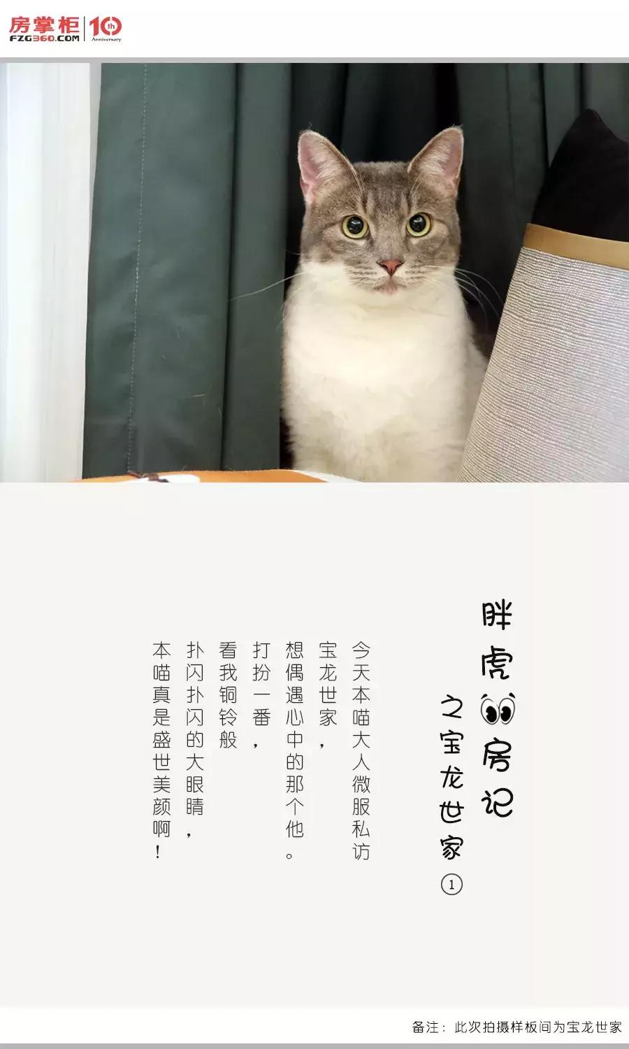 「胖虎大人看房记」第②期——宝龙世家