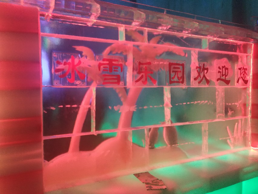 珠海神秘岛两大两小套票,珠海神秘岛乐园