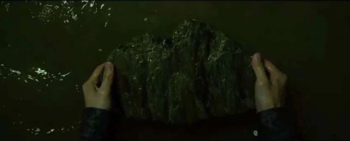 奥斯卡电影寄生虫观后感,寄生虫符合奥斯卡最佳影片