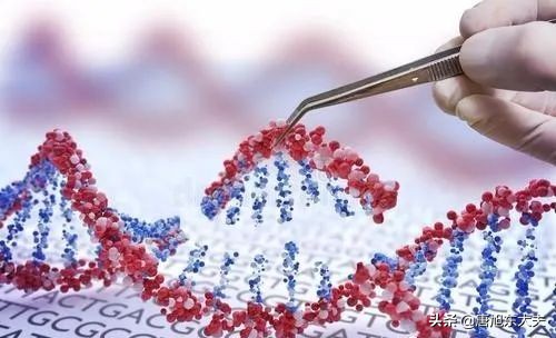 确诊原发性血小板增多症怎么办,原发性血小板增多症自愈方法