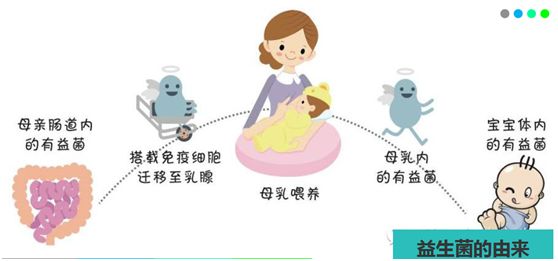 宝宝肠道有细菌正常吗,宝宝肠道里的菌少该怎么办