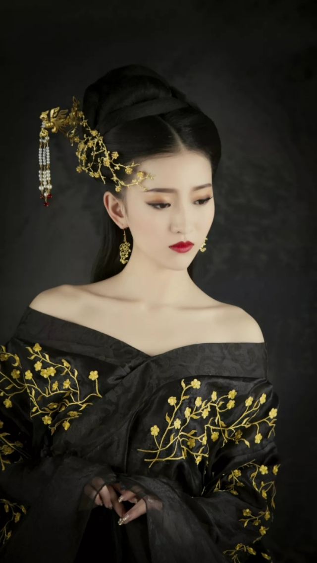 “一簪清韵赋古今”，评踏雪飞歌诗词