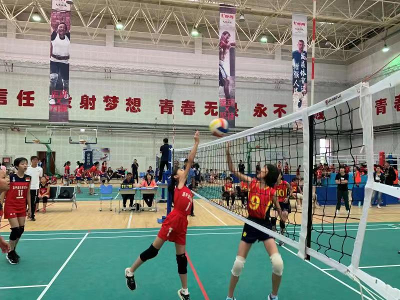 女排小学比赛,2024届石家庄中小学女子排球比赛