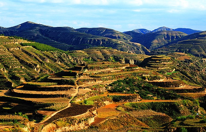 小米哪些东西不建议购买,只需三招教你轻松买到优质小米