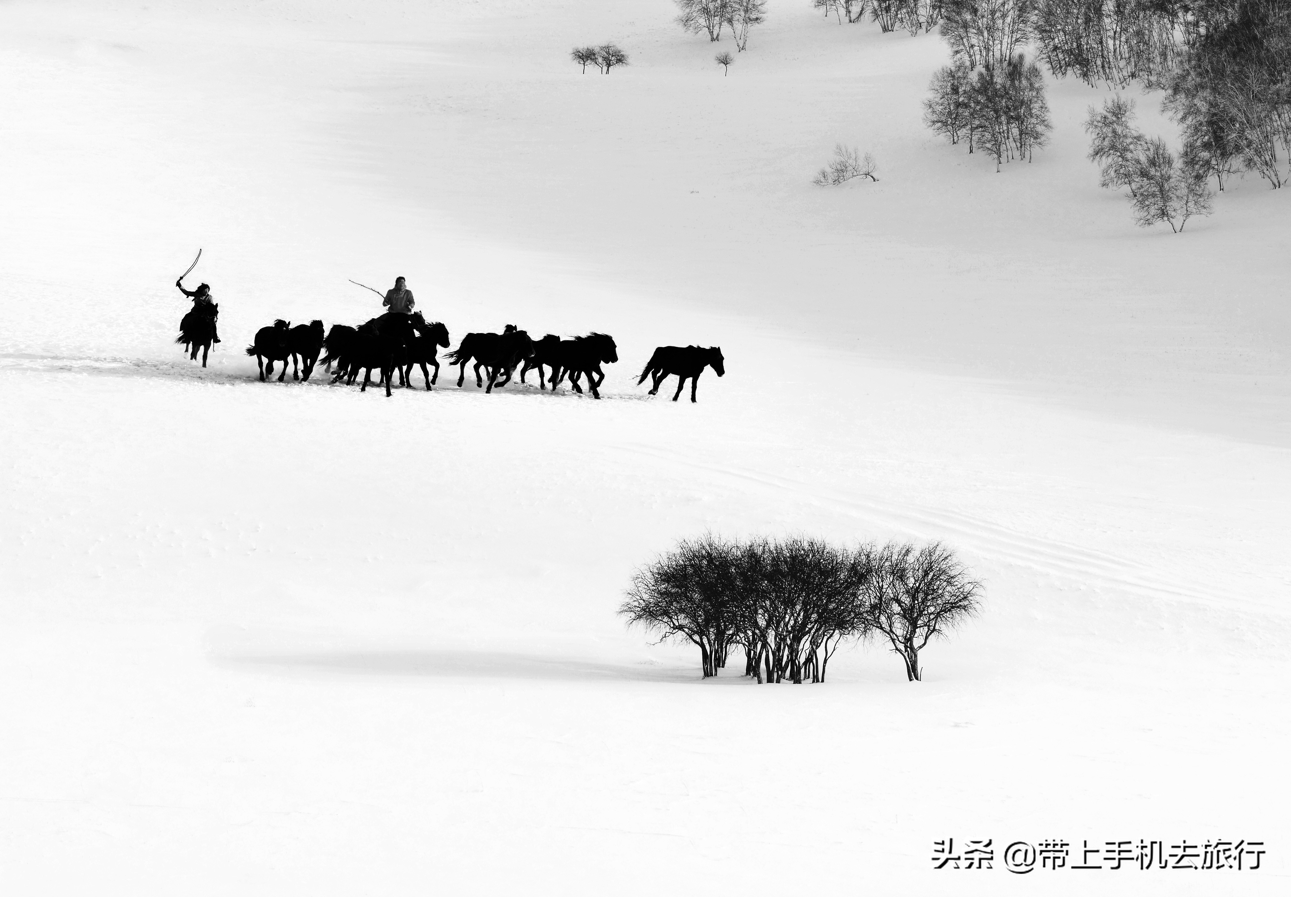 黑白色照如何照的有高级感,这6种表现你一定要注意
