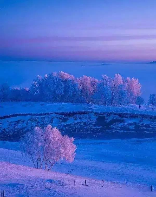 中国最美雪景地方,最适合旅游的雪国