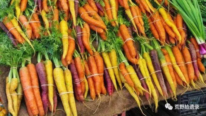 你知道胡萝卜是怎么来的吗,胡萝卜的演化史