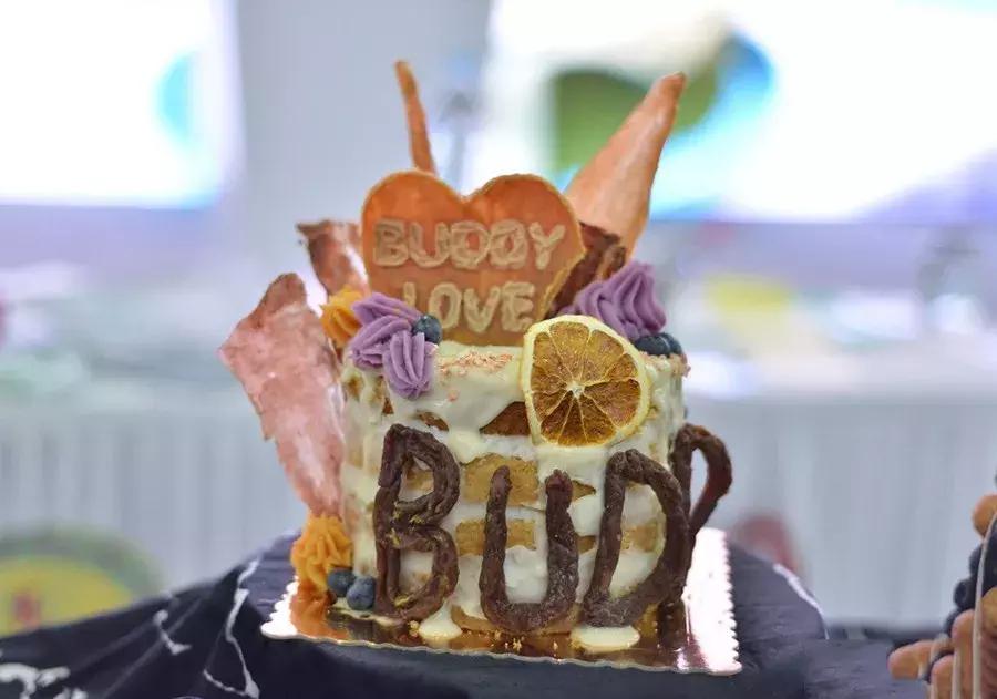 宠物经济背后的真实故事,宠物经济现状大爆发