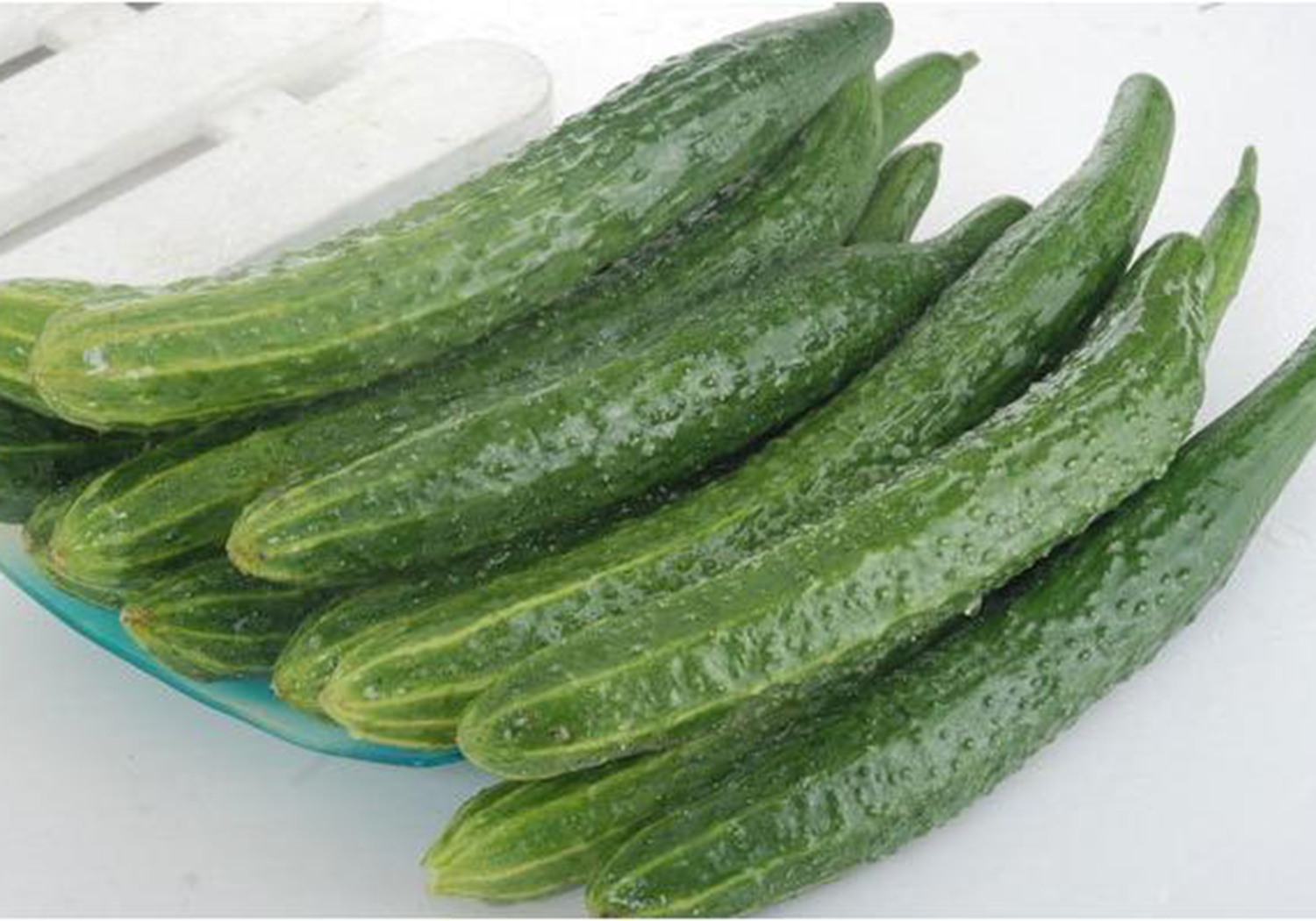 夏季黄瓜怎样育苗,露地黄瓜的育苗技巧