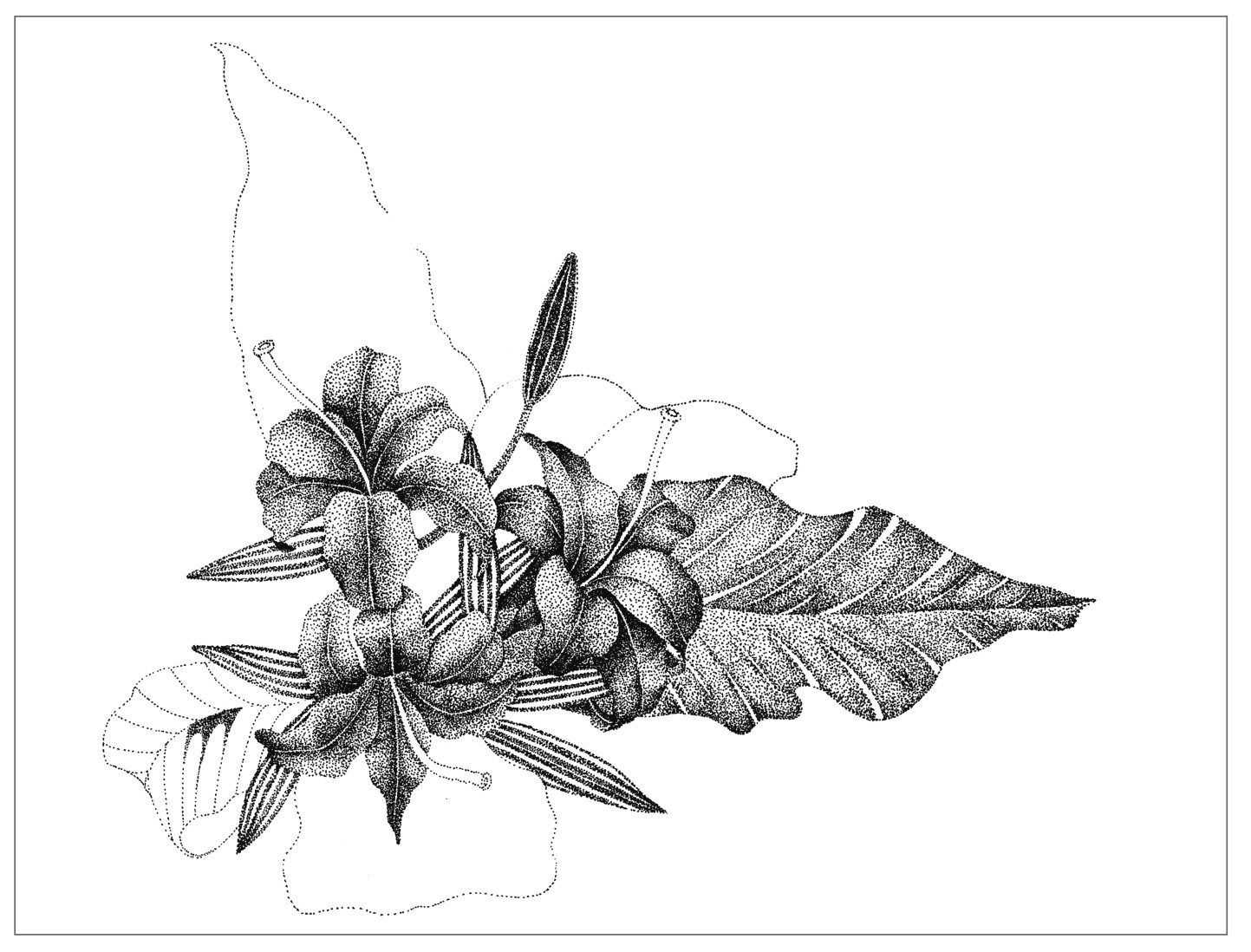 插画绘画教程纸绘,怎么画简单好看的插画教程