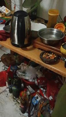 房子租给年轻人的后果,房子租给单身小伙一年多